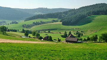 Black Forest, Germany by Eugenio Eijck