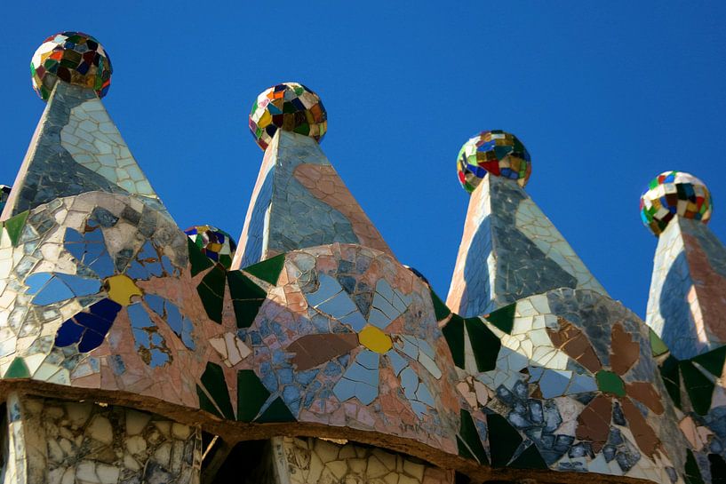 Gaudi Huis,Casa Batlló, Barcelona par Tessa Louwerens