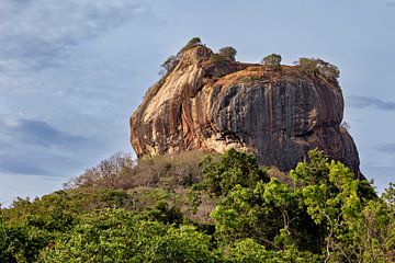 De leeuwenrots van Sri Lanka van Roland Brack