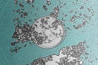 Circle in Cyan