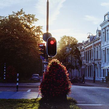 Stoplight by Niels van Kesteren