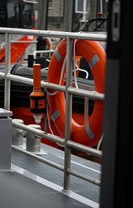 Repérez les phoques sur la mer des Wadden - une expérience unique en bateau !