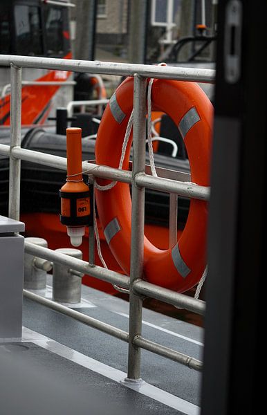 Beobachten Sie die Seehunde auf dem Wattenmeer - ein einzigartiges Bootserlebnis! von Aron.jpg