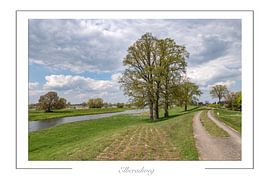 Elbradweg von Richard Wareham