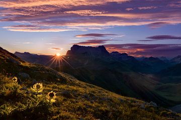 Sonnenaufgang über Langkofel und Plattkofel  in den Dolomiten von Dieter Meyrl