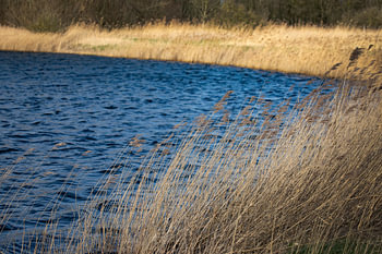 An der Waterfront