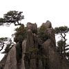 Dennenbomen in Huangshan sur Simon Hazenberg