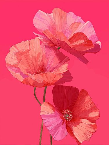 Coquelicots en couches de lumière rose