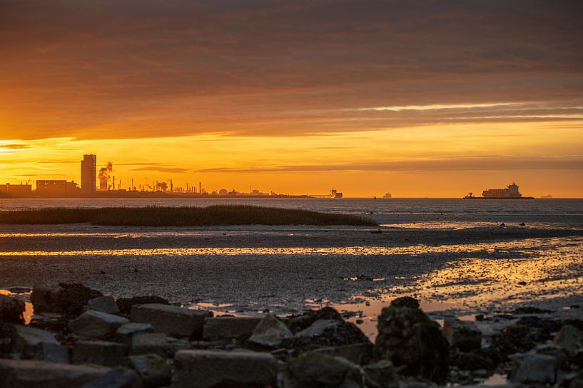 Fire in the sky van Wesley Kole