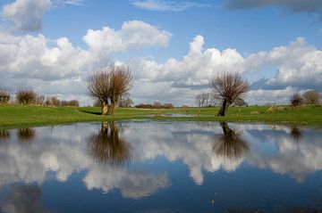 IJssel, rivier in Nederland van Paul van Gaalen, natuurfotograaf