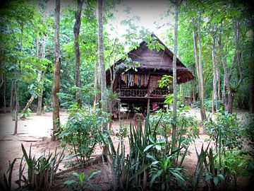 Thuisje in de jungle in Thailand van Kim van de Wouw