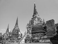 Black&White Buddha