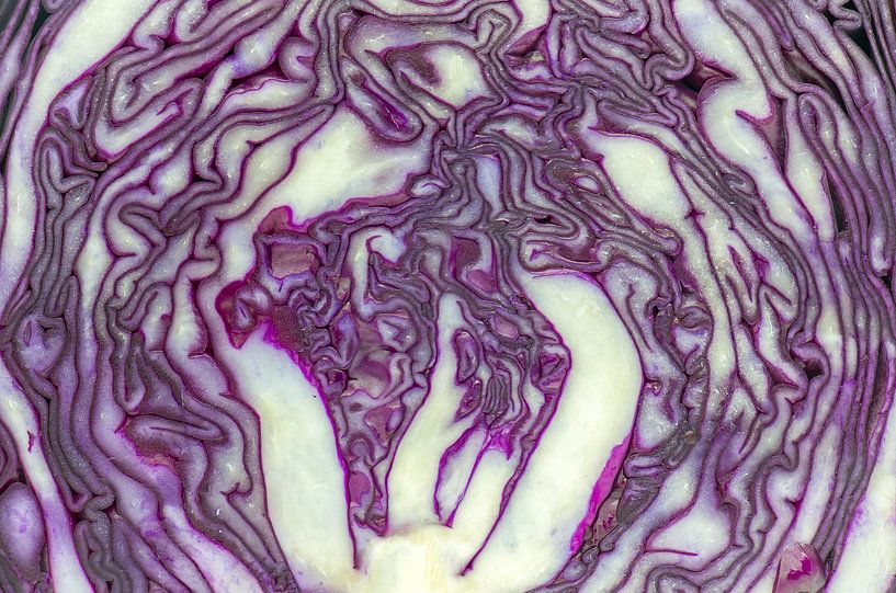 Rode kool by Pieter Heres