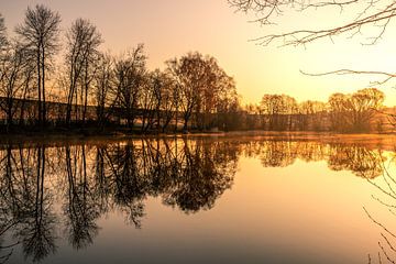Meer in de winter, met bomen en weerspiegelingen bij zonsopgang van Fotos by Jan Wehnert