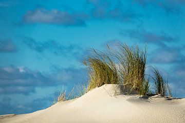 Dunes on the North Sea coast on the island Amrum van Rico Ködder
