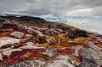 Red rocks on the coast of an ice rocky bay in Greenland