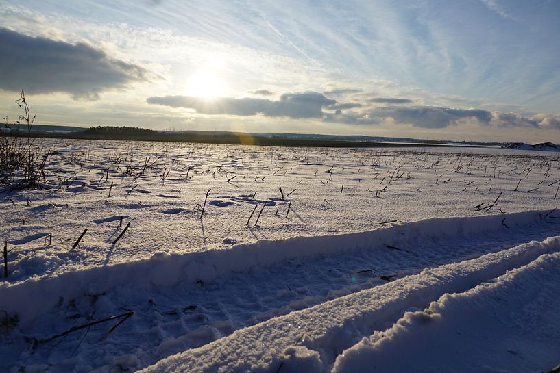 Spur im Schnee von Fabian H