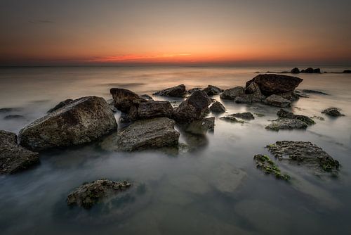 Rotspartij in de Adriatische zee