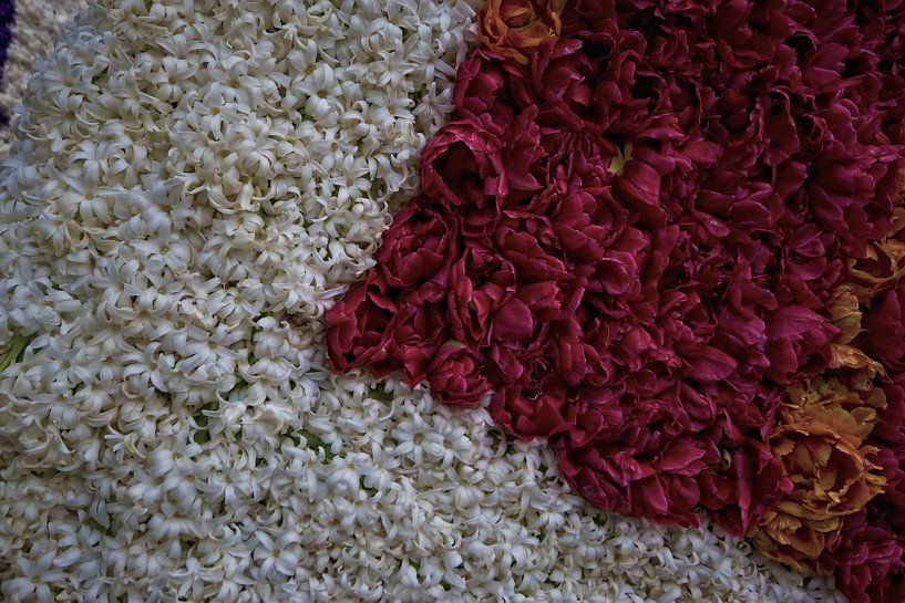 Bloemen by foto-fantasie foto-fantasie