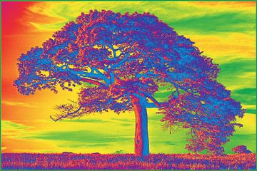 Farbe der Bäume von Reinaerde Digiteam Woerden