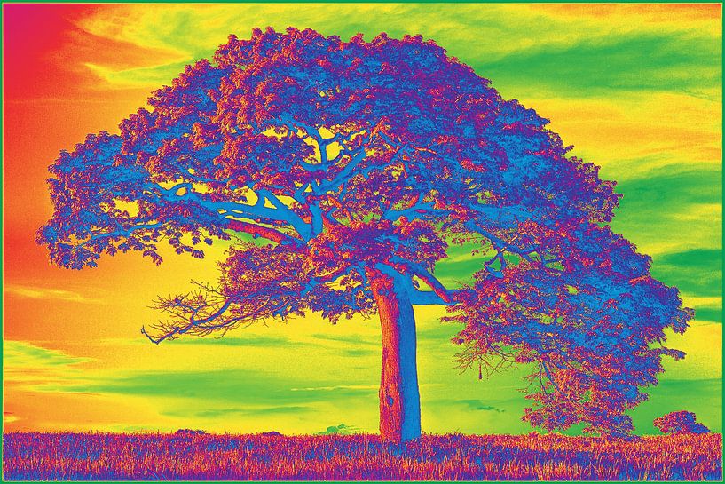 Tree color by Reinaerde Digiteam Woerden