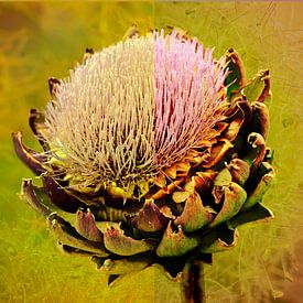 Artisjok in retrokleuren. van Alie Ekkelenkamp