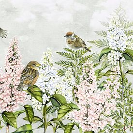 birds sparrow on lilacs
