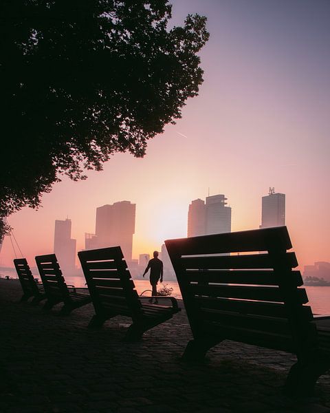 A Rotterdam classic by Martin Nielsen