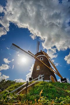 Windmühle De Hoop in Bavel - Breda - Niederlande von Chihong