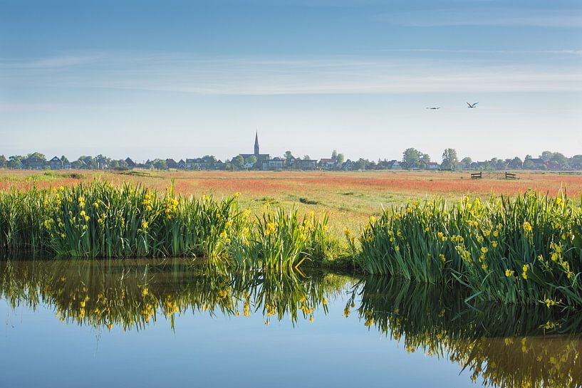 Zicht op Maria Magdalenakerk met gele lissen op voorgrond van Pieter Struiksma