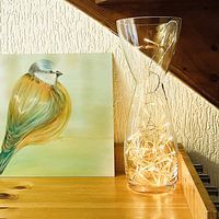 Photo de nos clients: Oiseau par Studio Spanjersberg