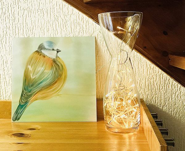 Klantfoto: Lijntekening kunstwerk VOGEL in groen, blauw, oranje van Studio Spanjersberg, op HD Metal