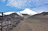 Schneebedeckter Berghang mit Blick auf den schneebedeckten Gipfel von Bianca Fortuin Miniaturansicht