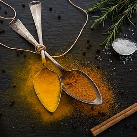 Herbs and spices 2 by Anita Visschers