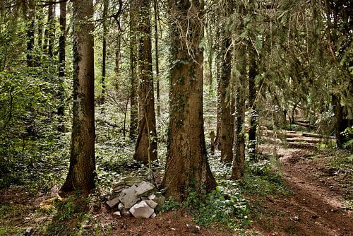 Belgisch Ardennen Landschap