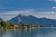 Wunderschöne Seenlandschaft am Walchensee von Oliver Hlavaty Miniaturansicht