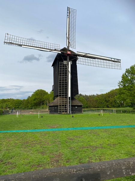 Doesburgermolen von Tea Roelofsen