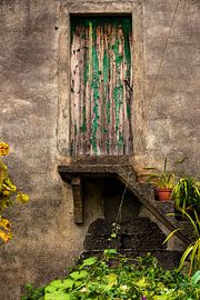 Garden with wooden door by VIDEOMUNDUM