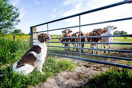 Friends?? by Lisette de Rade