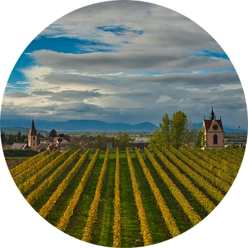 Wijngaarden met uitzicht op Endingen im Kaiserstuhl van Tanja Voigt