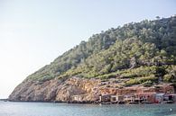 Landschap Ibiza van Sharona Sprong thumbnail