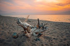 Sonnenuntergang am Weststrand bei Ahrenshoop an der Ostsee. Fisc von Thilo Wagner