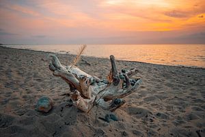 Coucher de soleil sur la plage ouest près d'Ahrenshoop sur la mer Baltique. Fisc
