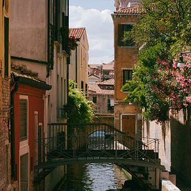 Venice by Dalmuro