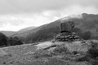 Bruces' Stone, Glentrool, Galloway Forest Park van Imladris Images thumbnail
