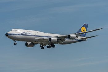 Livrée rétro de Lufthansa sur un Boeing 747-8 (D-ABYT), photographié à l'atterrissage à l'aéroport d