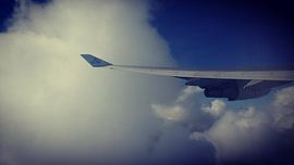 Wing of an angel by Michael van Eijk