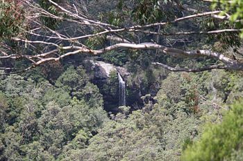 Springbrook National Park