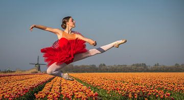 Ballerina Sprong van peterheinspictures