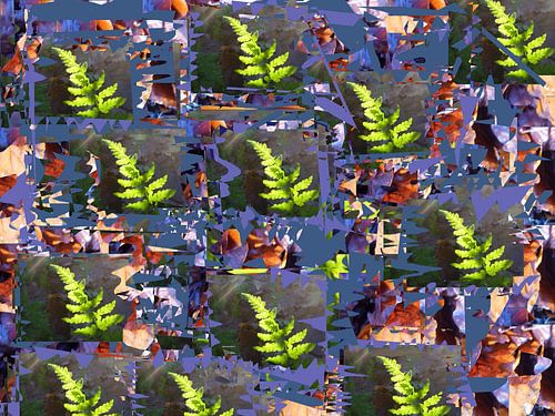 Collage Carnival number one